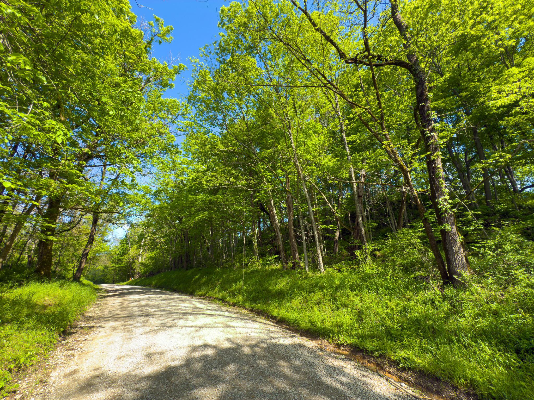 0 Morganville Road Malta, OH 43758 - Photo 21 of 30 Morganville rd-20
