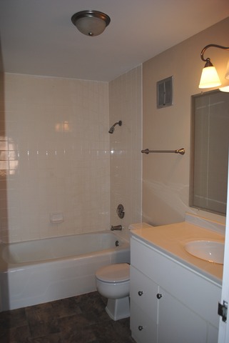 1415 East Central Road, Unit 315B Arlington Heights, IL 60005 - Photo 11 of 12