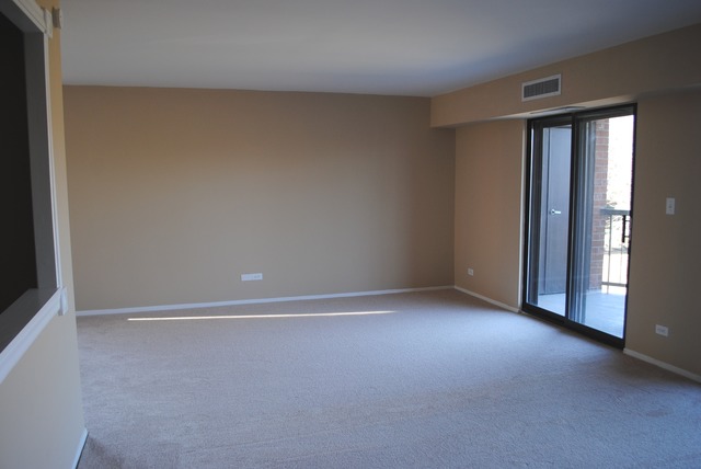 1415 East Central Road, Unit 315B Arlington Heights, IL 60005 - Photo 3 of 12
