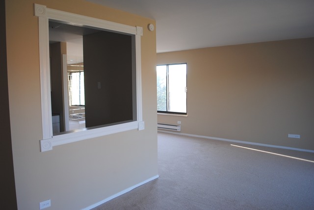 1415 East Central Road, Unit 315B Arlington Heights, IL 60005 - Photo 4 of 12