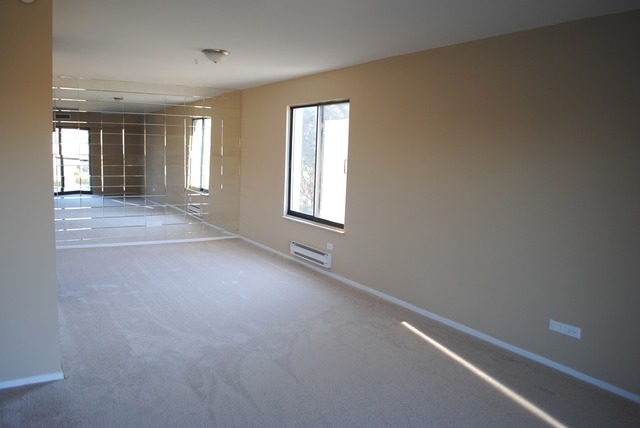 1415 East Central Road, Unit 315B Arlington Heights, IL 60005 - Photo 5 of 12