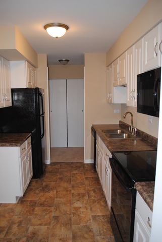 1415 East Central Road, Unit 315B Arlington Heights, IL 60005 - Photo 6 of 12