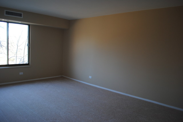 1415 East Central Road, Unit 315B Arlington Heights, IL 60005 - Photo 8 of 12