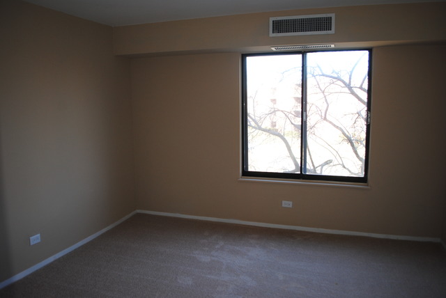 1415 East Central Road, Unit 315B Arlington Heights, IL 60005 - Photo 10 of 12