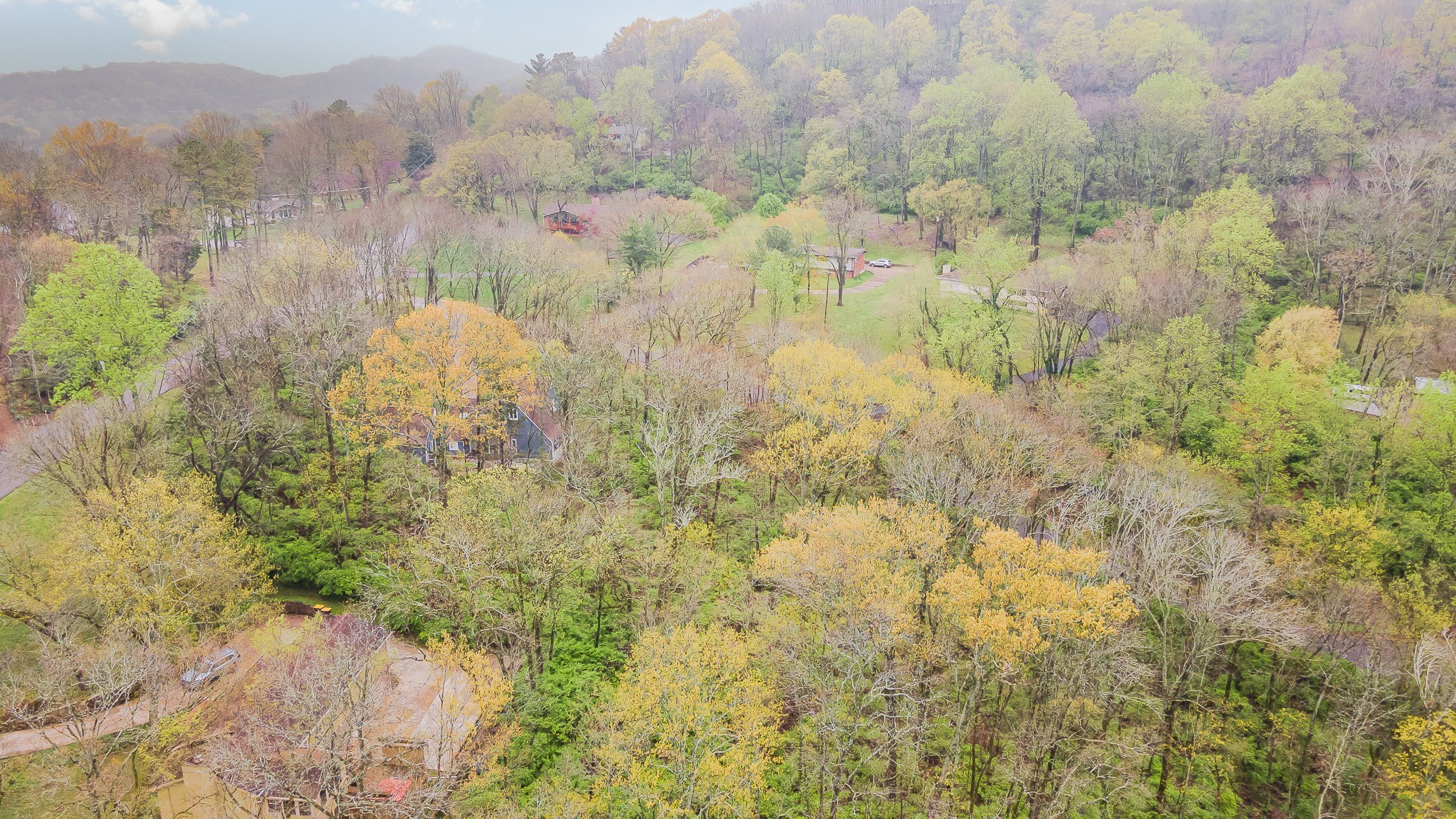 5110 West Concord Road Brentwood, TN 37027 - Photo 20 of 30 a view of a lake with a mountain