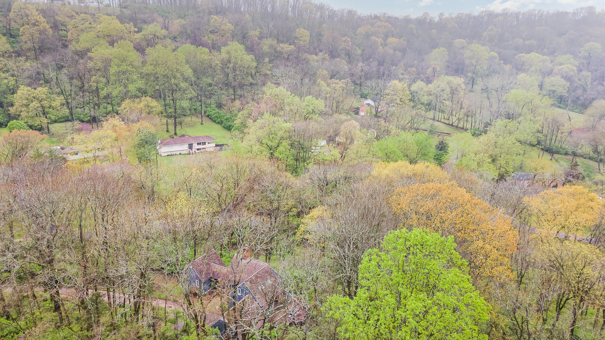 5110 West Concord Road Brentwood, TN 37027 - Photo 21 of 30 a view of a bunch of plants and trees
