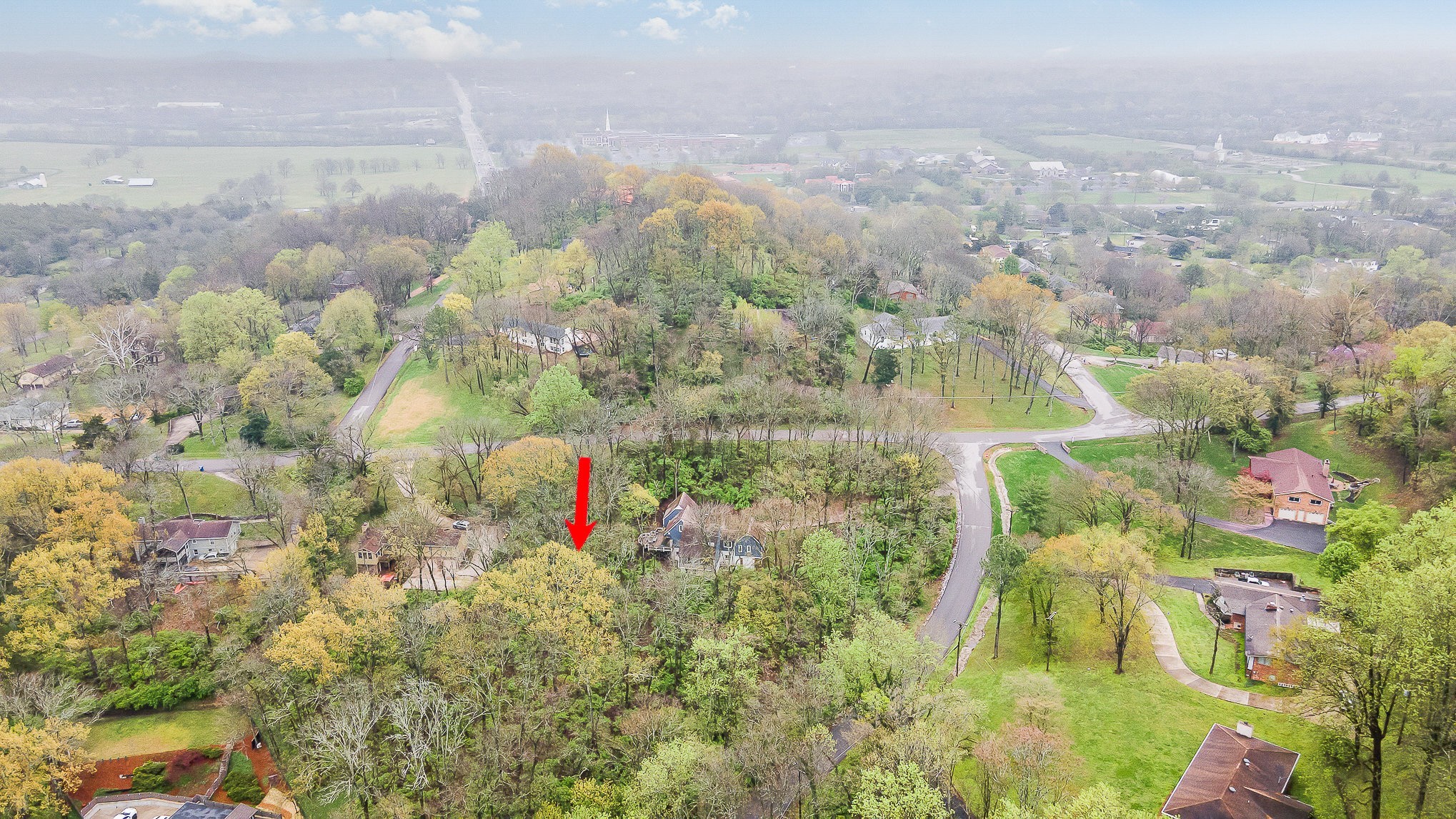 5110 West Concord Road Brentwood, TN 37027 - Photo 8 of 30 a view of lot of trees and buildings