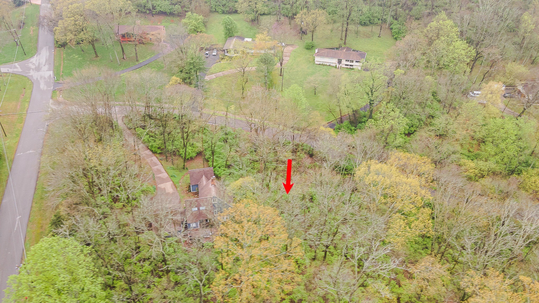 5110 West Concord Road Brentwood, TN 37027 - Photo 10 of 30