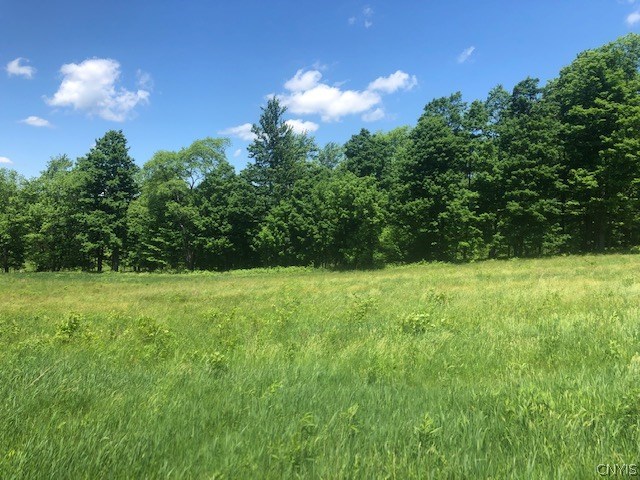 10277 Chesebro Road Brookfield, NY 13485 - Photo 17 of 24