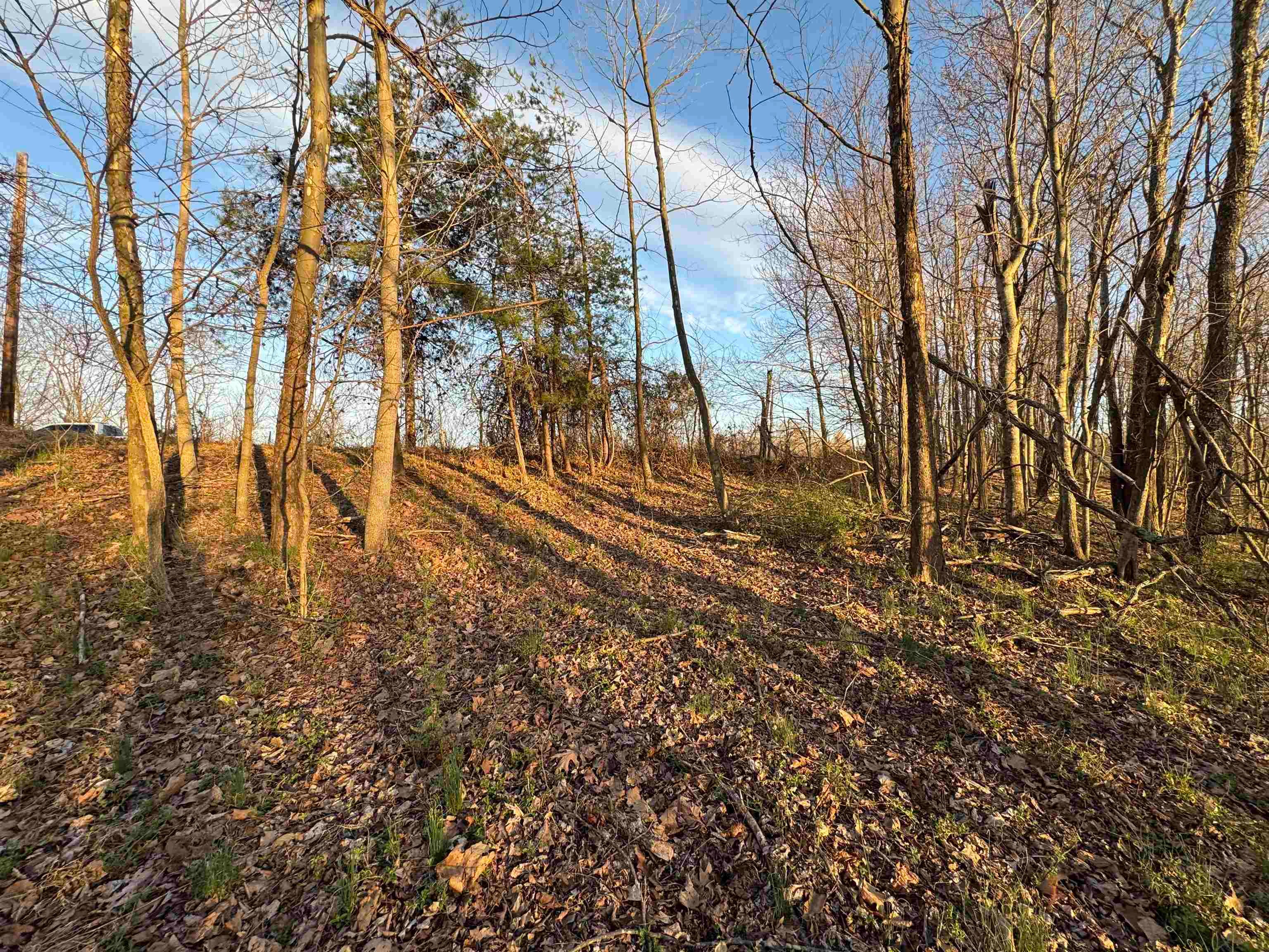 0 Co Road Proctorville, OH 45669 - Photo 10 of 27 Gallery Image 10