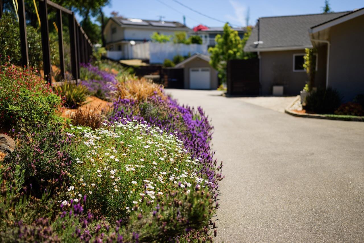 520 Sand Hill Road Scotts Valley, CA 95066 - Photo 130 of 137 Gallery Image 130