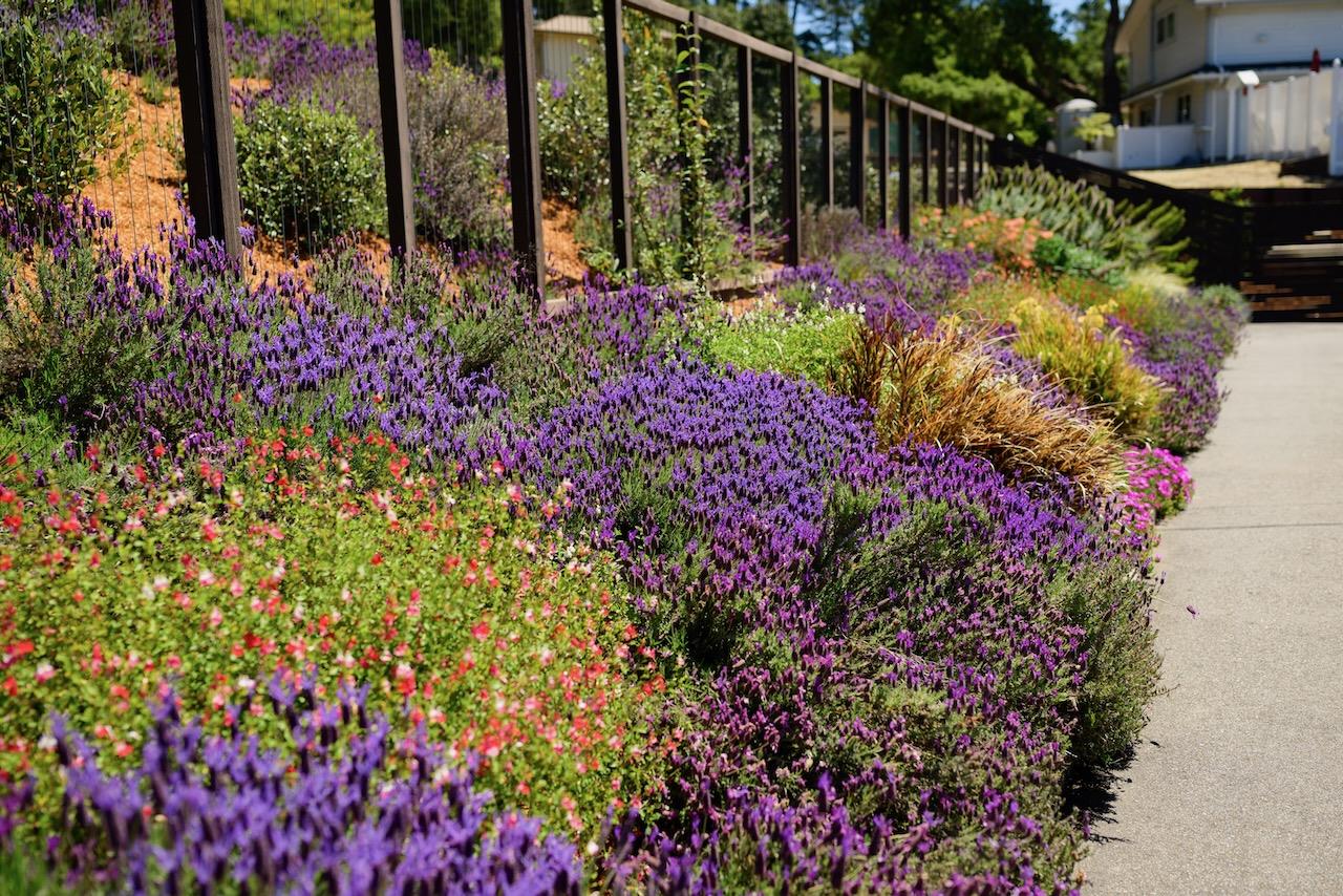 520 Sand Hill Road Scotts Valley, CA 95066 - Photo 131 of 137 Gallery Image 131