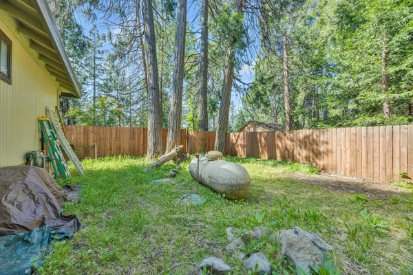 a view of a backyard with large tree and wooden fence