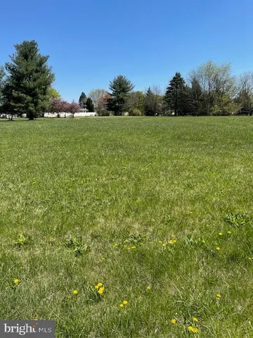a view of a field with a tree in it