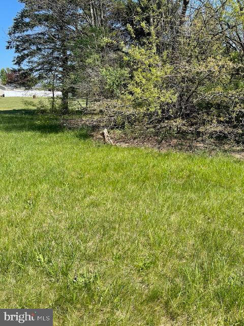 0 Chambersburg Road Biglerville, PA 17307 - Photo 6 of 8 a view of a yard with a tree