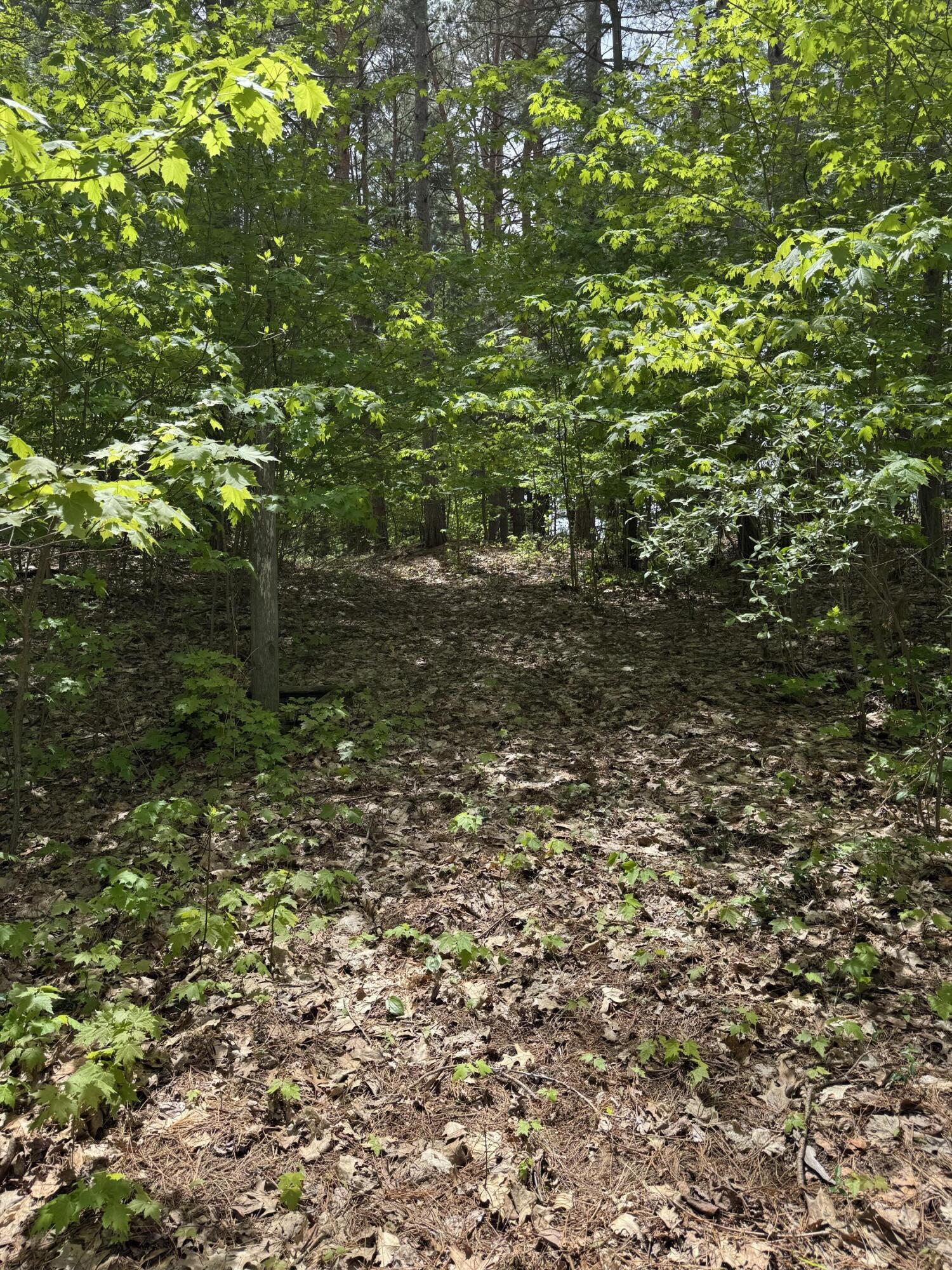 5471 East Free Soil Road Free Soil, MI 49411 - Photo 32 of 46 Trail to woods