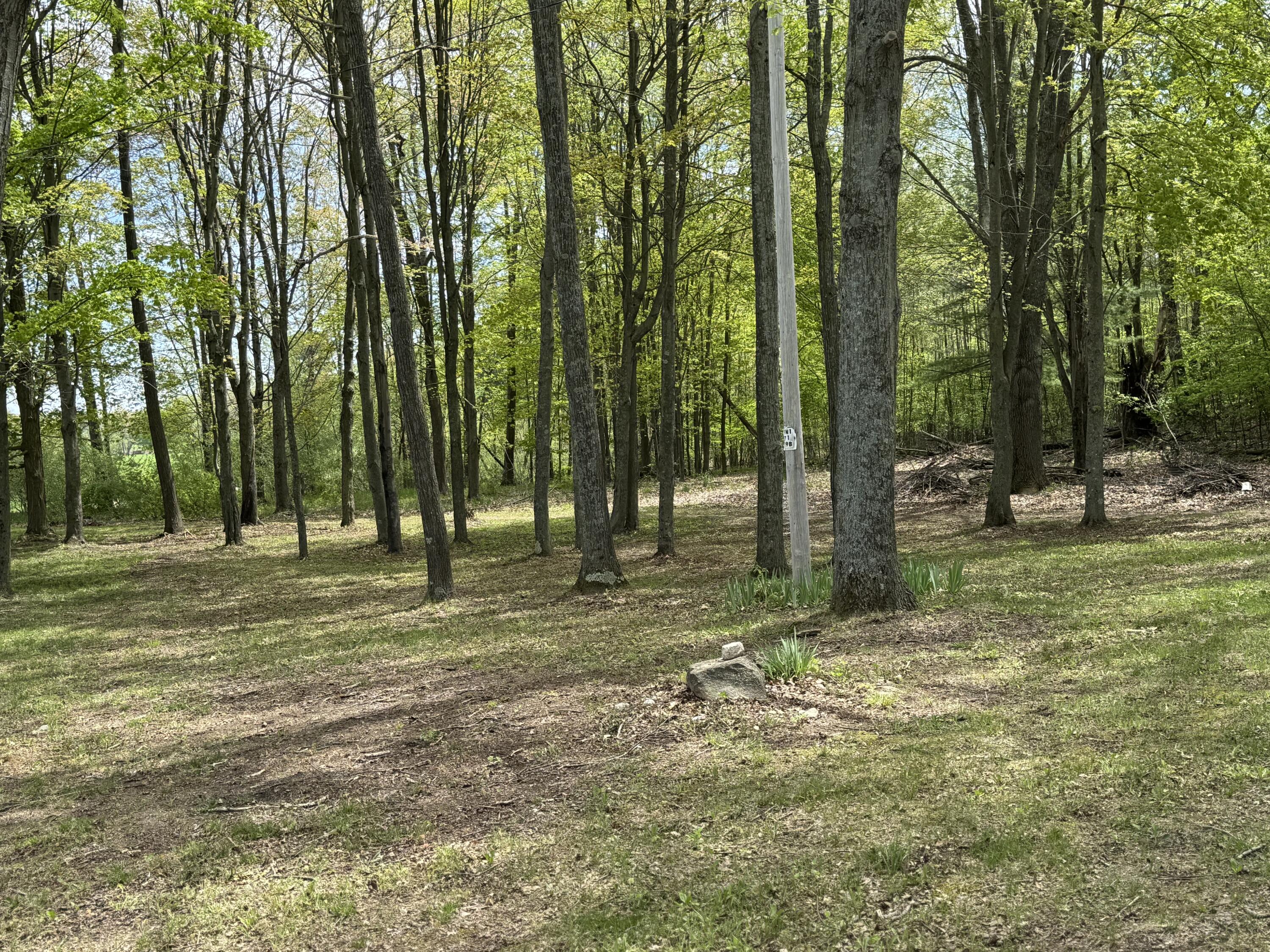5471 East Free Soil Road Free Soil, MI 49411 - Photo 41 of 46 East Yard