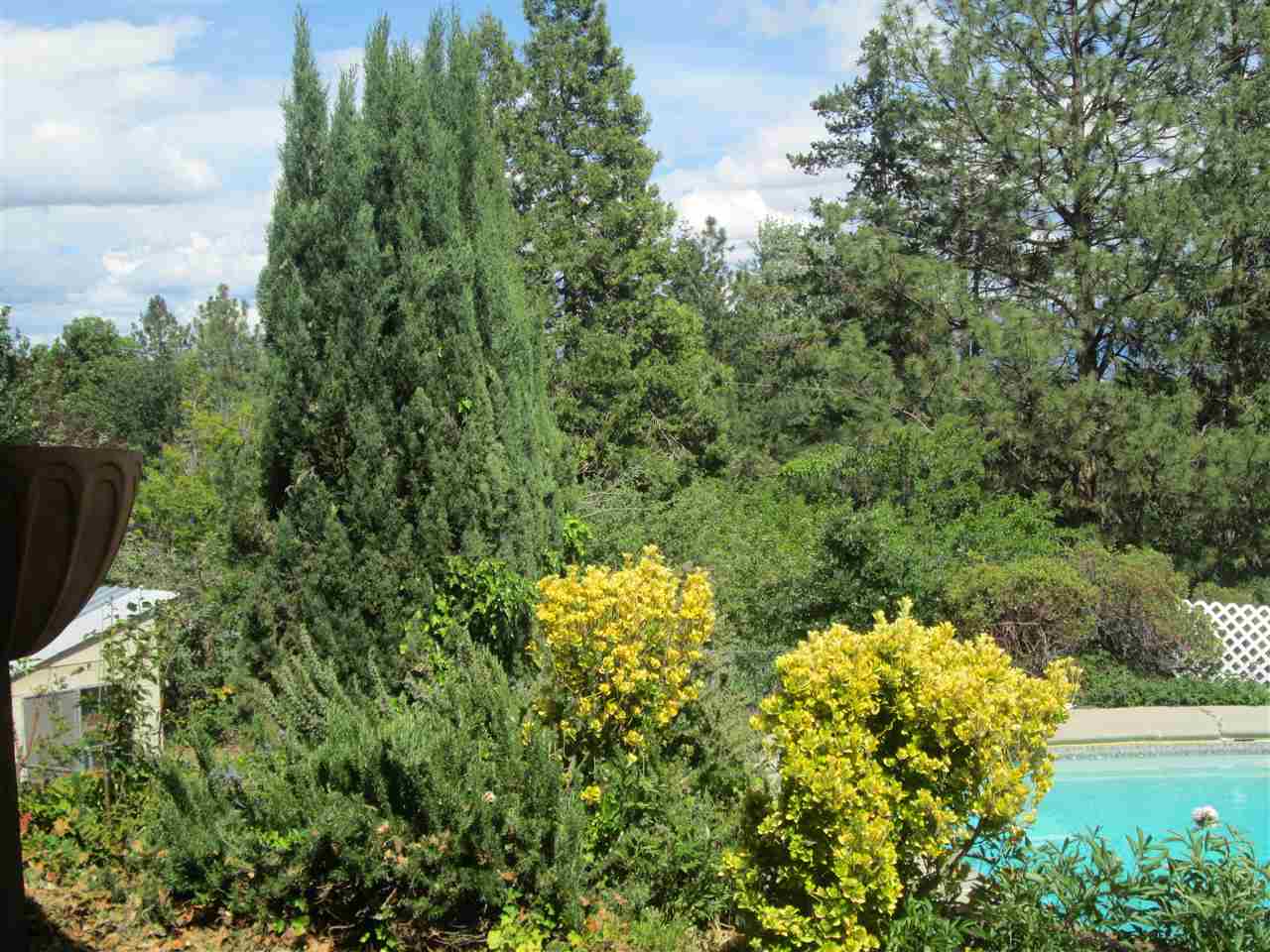 217 Humbug Road Yreka, CA 96097 - Photo 20 of 21 Gallery Image 20