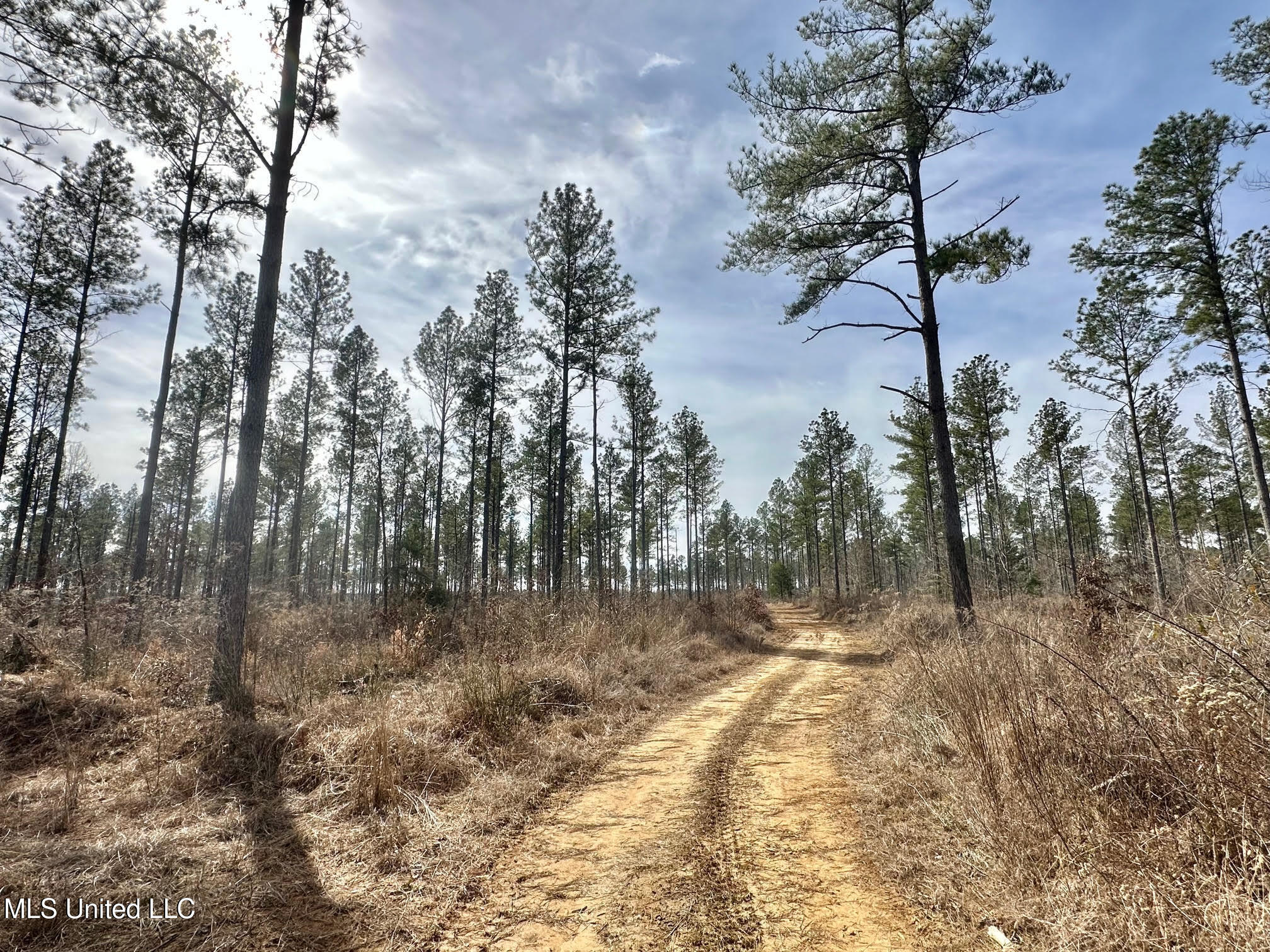2 Dry Grove Road Terry, MS 39170 - Photo 1 of 24 503