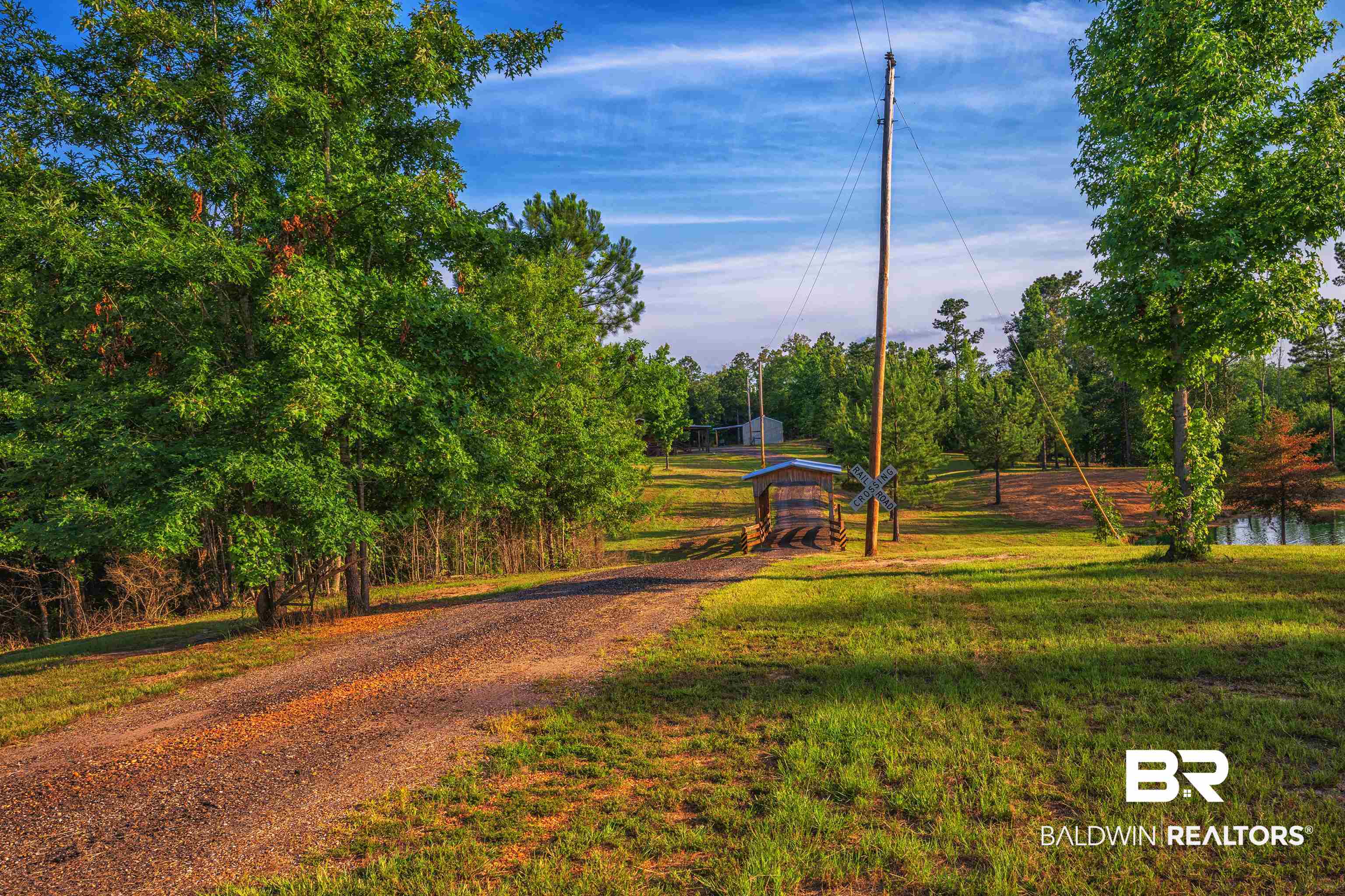 3057 County Road 56 Beatrice, AL 36425 - Photo 28 of 32 Driveway to Cabin