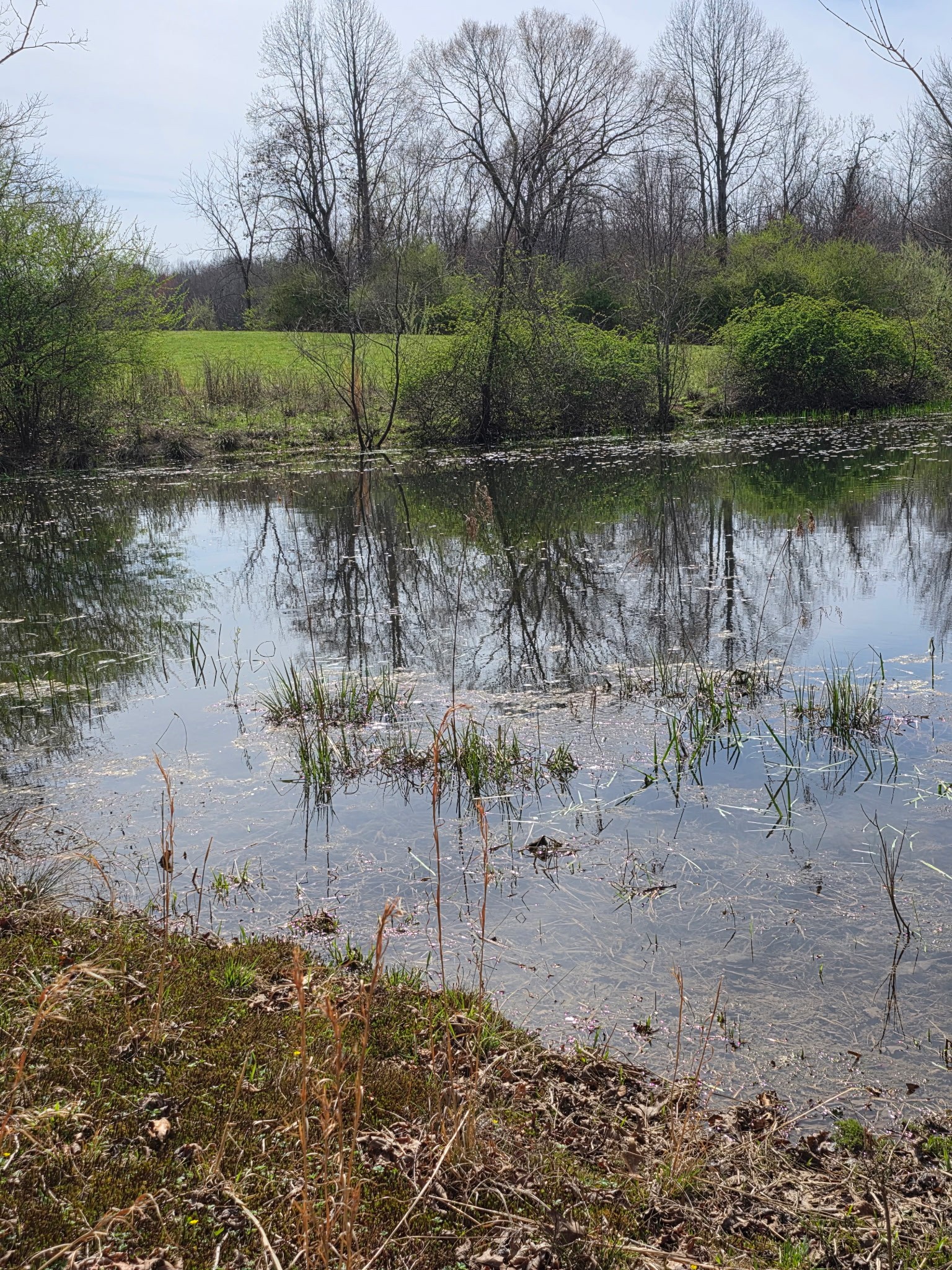 6245 Greentown Road Tracy City, TN 37387 - Photo 2 of 47