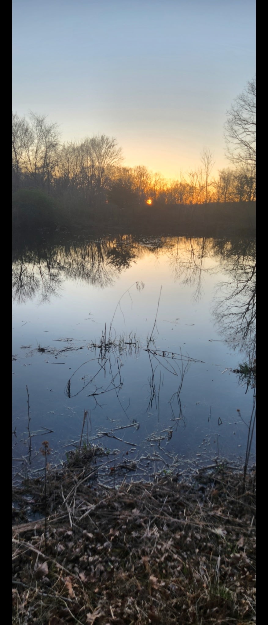 6245 Greentown Road Tracy City, TN 37387 - Photo 10 of 47