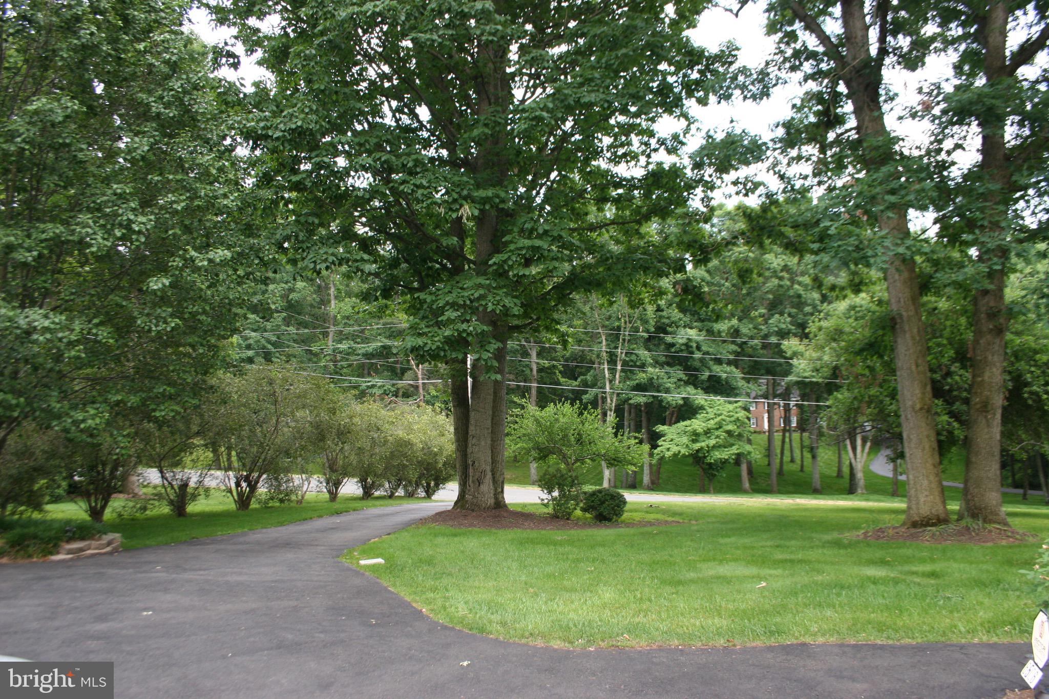 6506 Shamrock Road Manassas, VA 20112 - Photo 59 of 64 Gallery Image 59