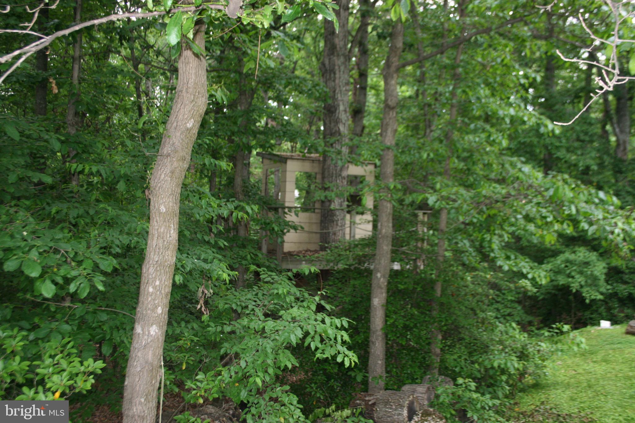 6506 Shamrock Road Manassas, VA 20112 - Photo 9 of 64 Kids will love the tree house
