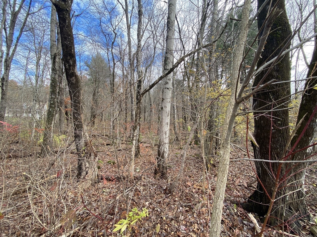 Lot 3 Washington Road Brimfield, MA 01010 - Photo 2 of 6 a view of under construction area