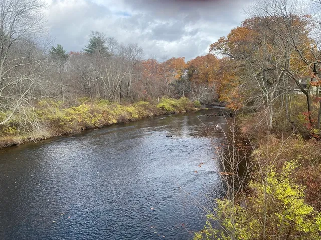 a view of a yard with trees in the background
