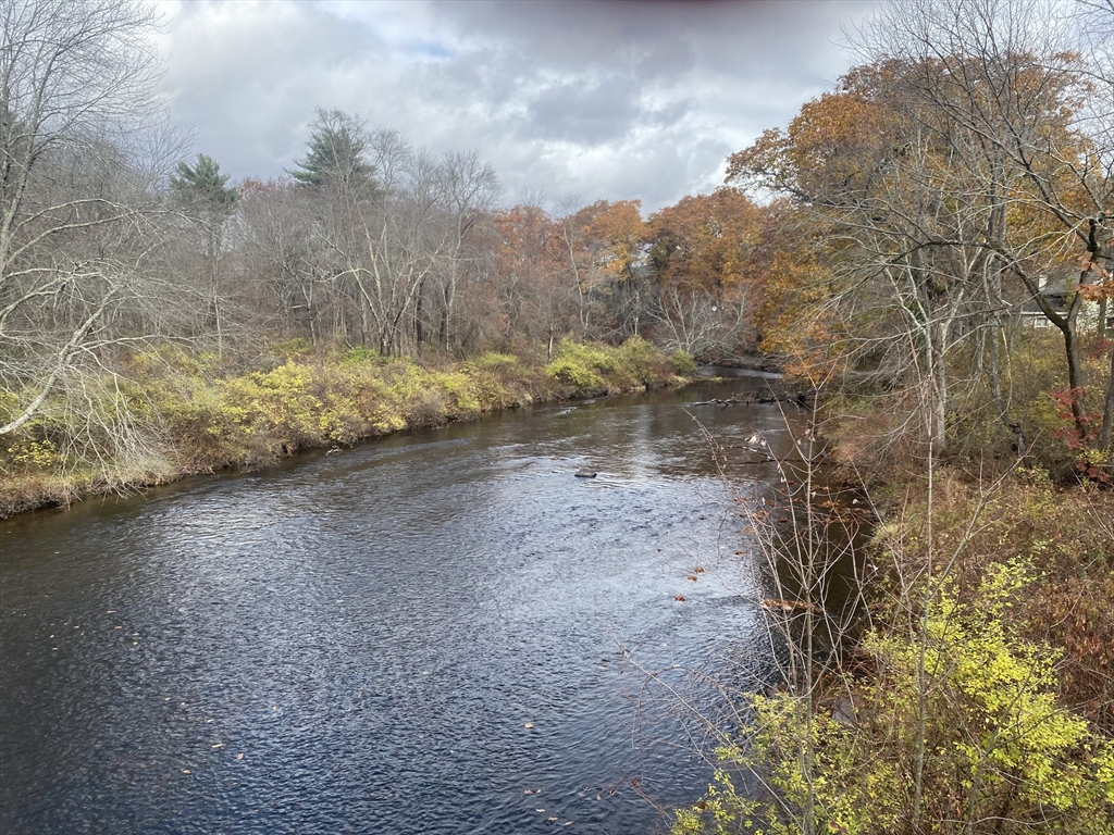Lot 3 Washington Road Brimfield, MA 01010 - Photo 6 of 6 a view of a yard with trees in the background