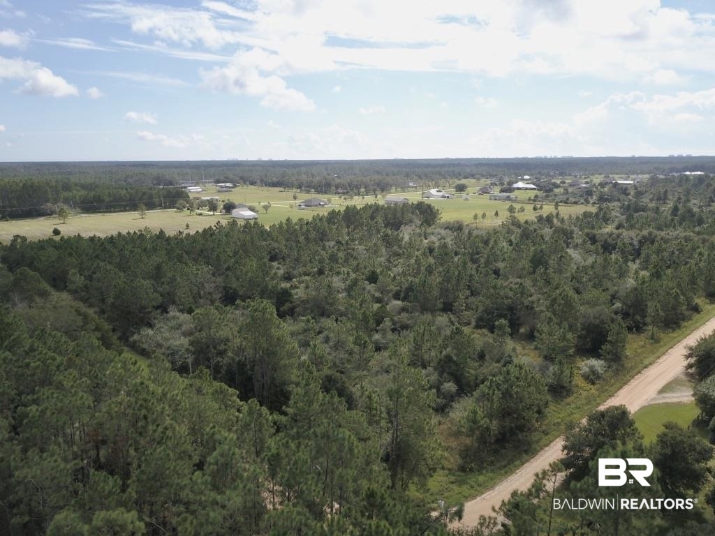 0 Fell Road Elberta, AL 36530 - Photo 11 of 13