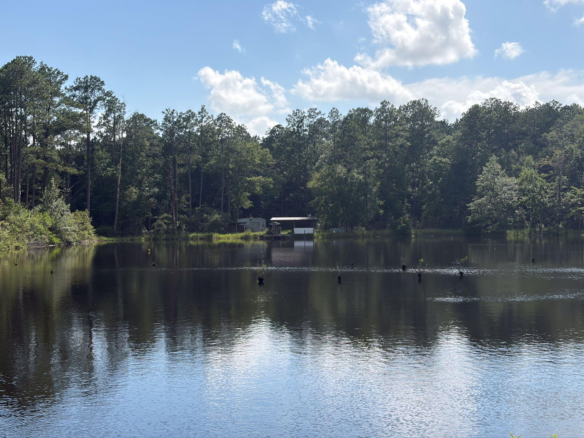 82 Acres 4 Flags Road Laurel Hill, FL 32567 - Photo 6 of 45 36-web-or-mls-IMG_1841