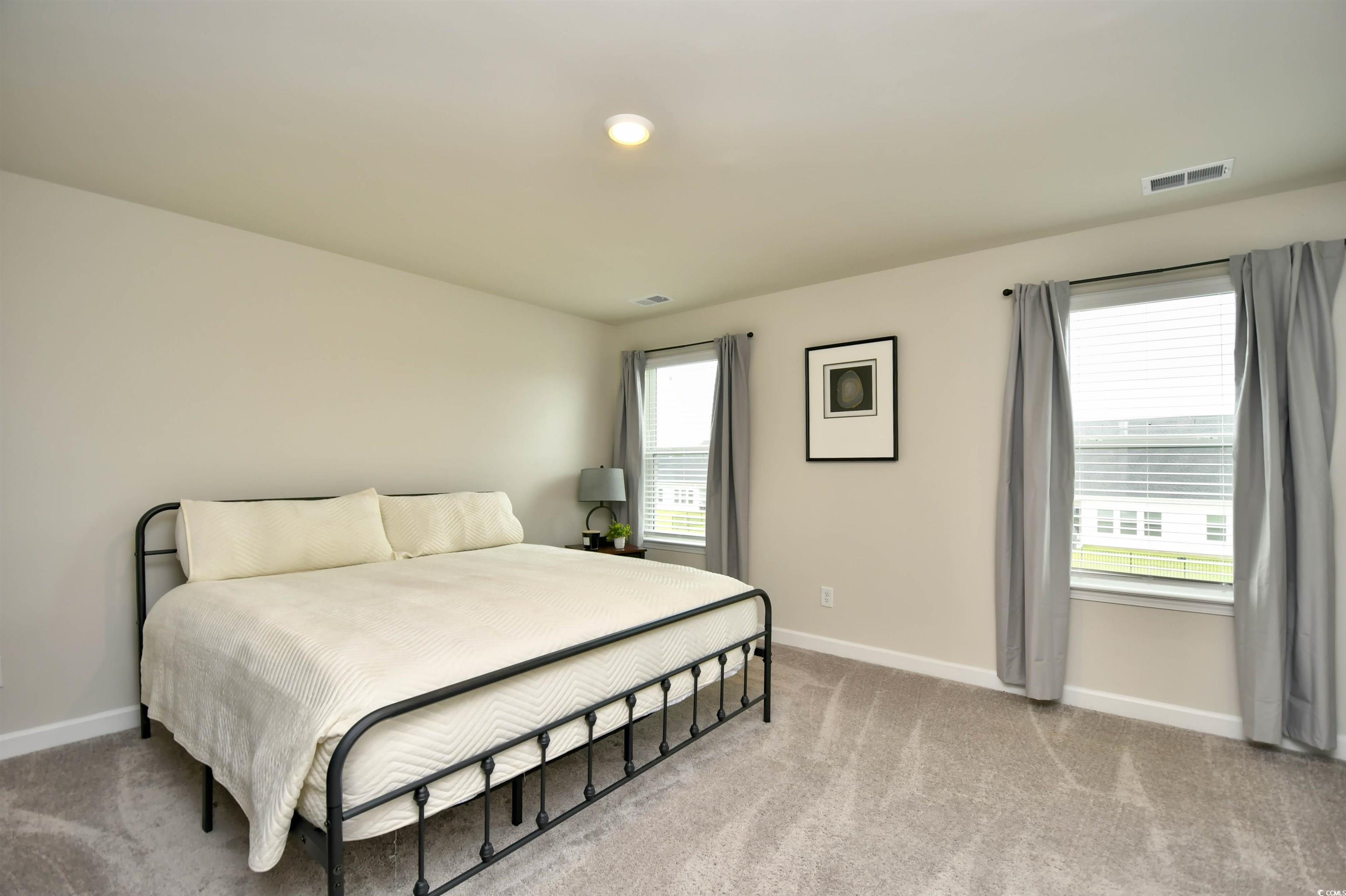 2325 Copper Crk Loop Longs, SC 29568 - Photo 21 of 40 Bedroom with baseboards and light carpet