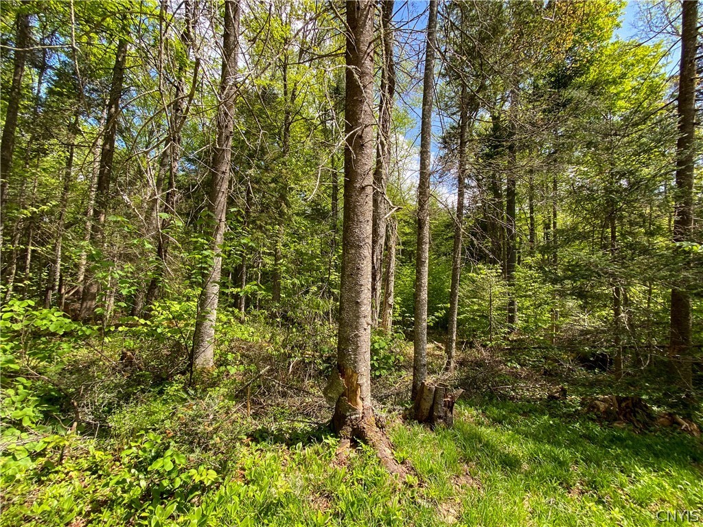 375 Uncas Road Inlet, NY 13360 - Photo 6 of 9