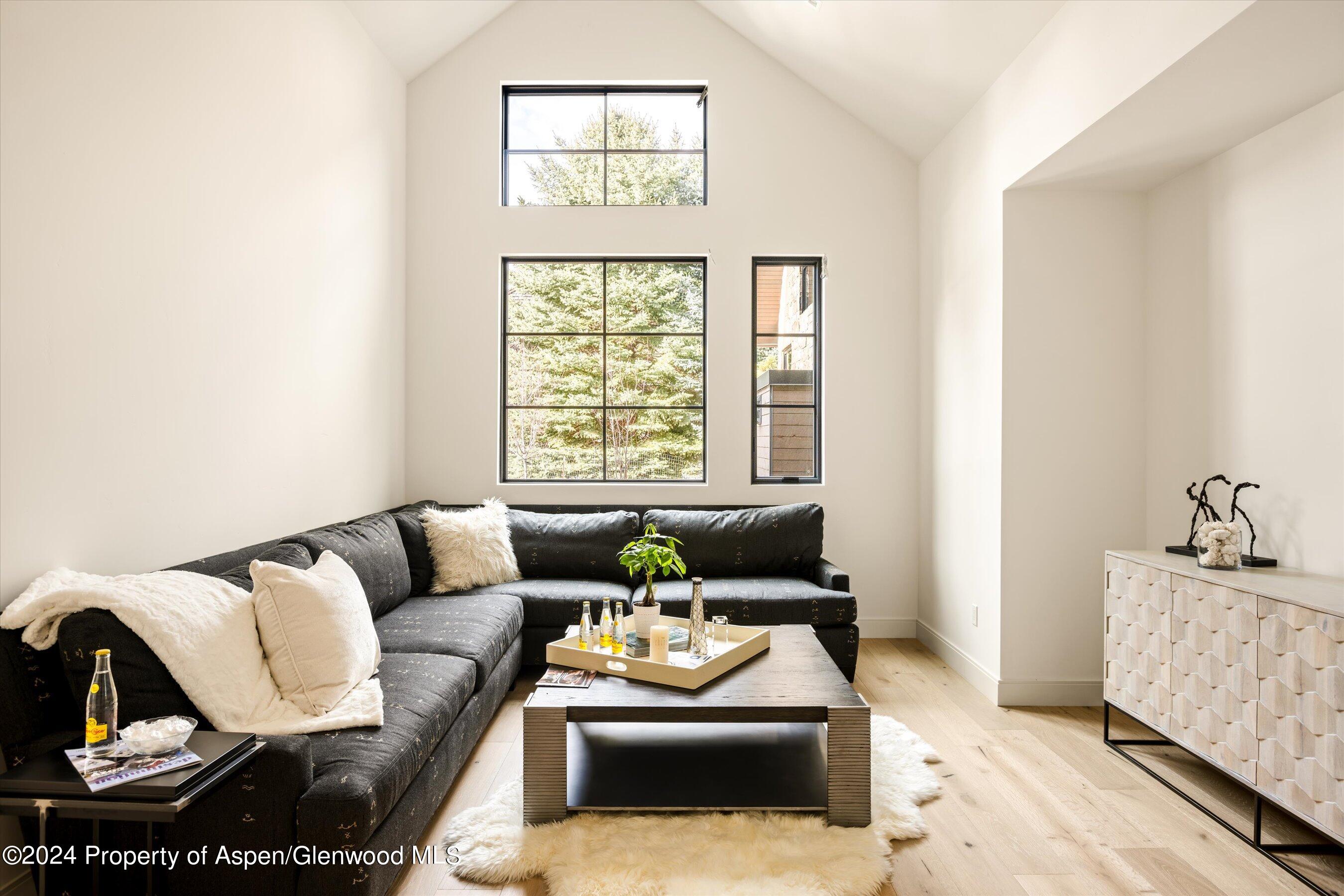 505 Diamond A Ranch Road Carbondale, CO 81623 - Photo 15 of 33 a living room with furniture and a window