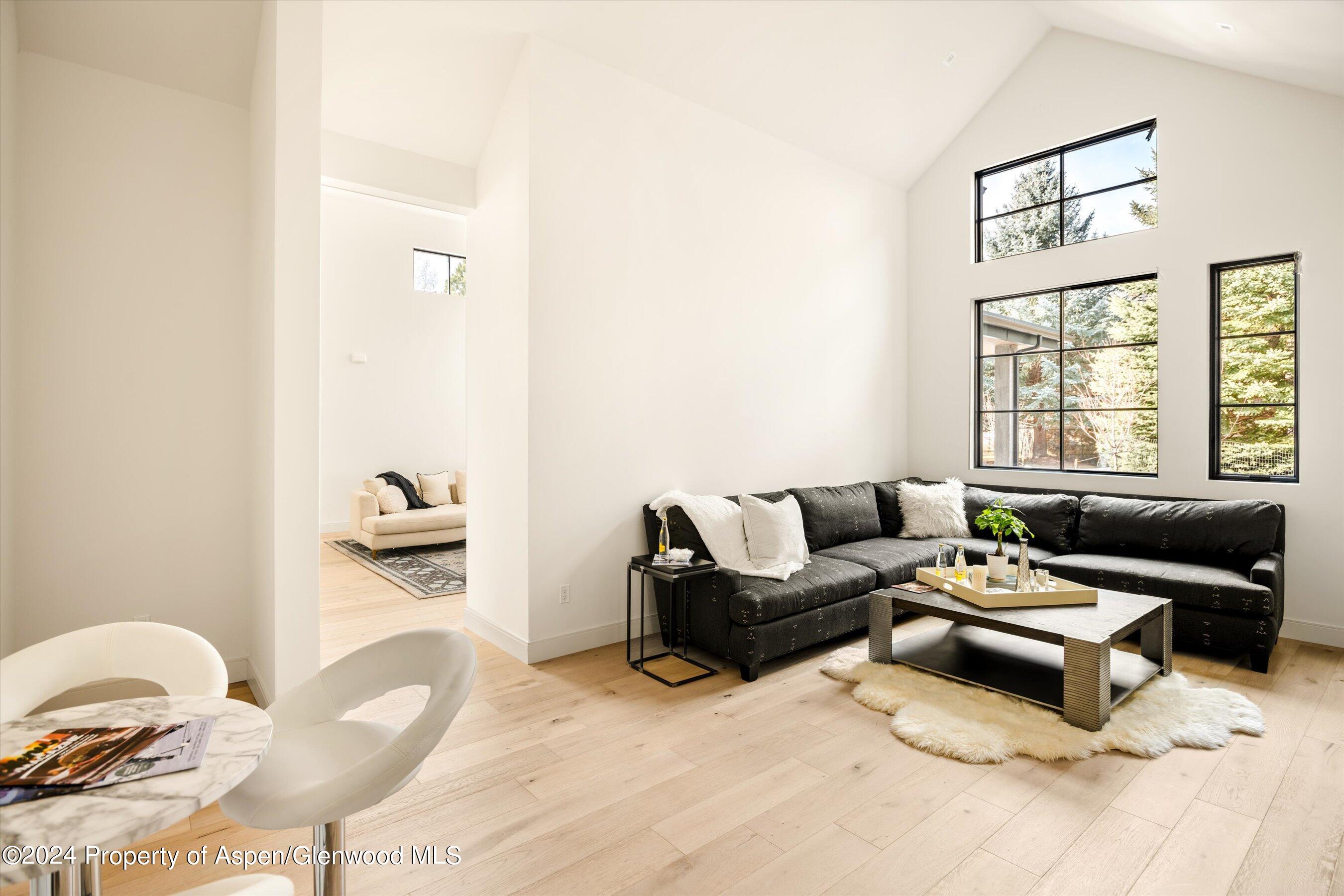 505 Diamond A Ranch Road Carbondale, CO 81623 - Photo 16 of 33 a living room with furniture and a window