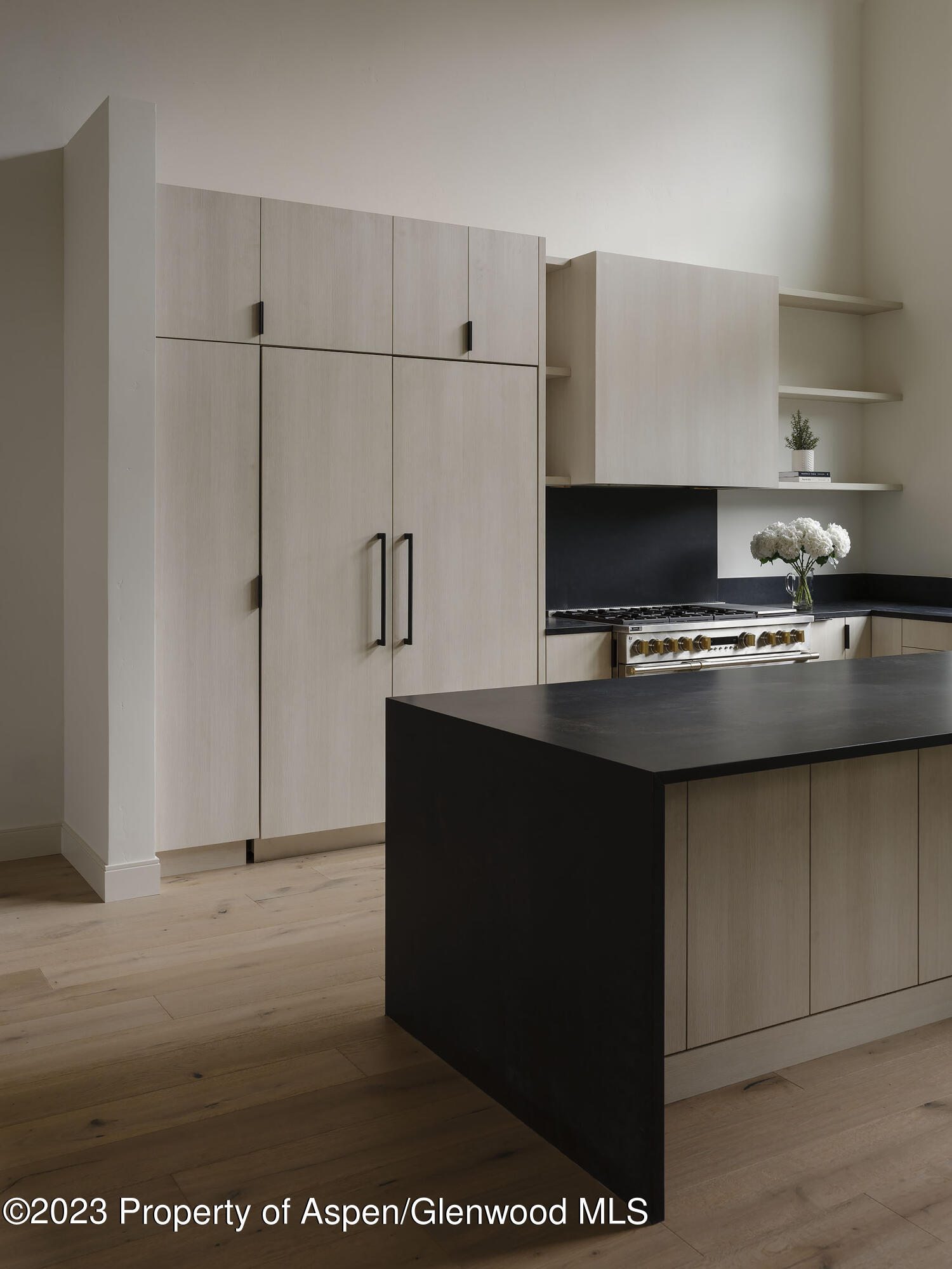 505 Diamond A Ranch Road Carbondale, CO 81623 - Photo 26 of 33 a kitchen with stainless steel appliances granite countertop a refrigerator and a stove