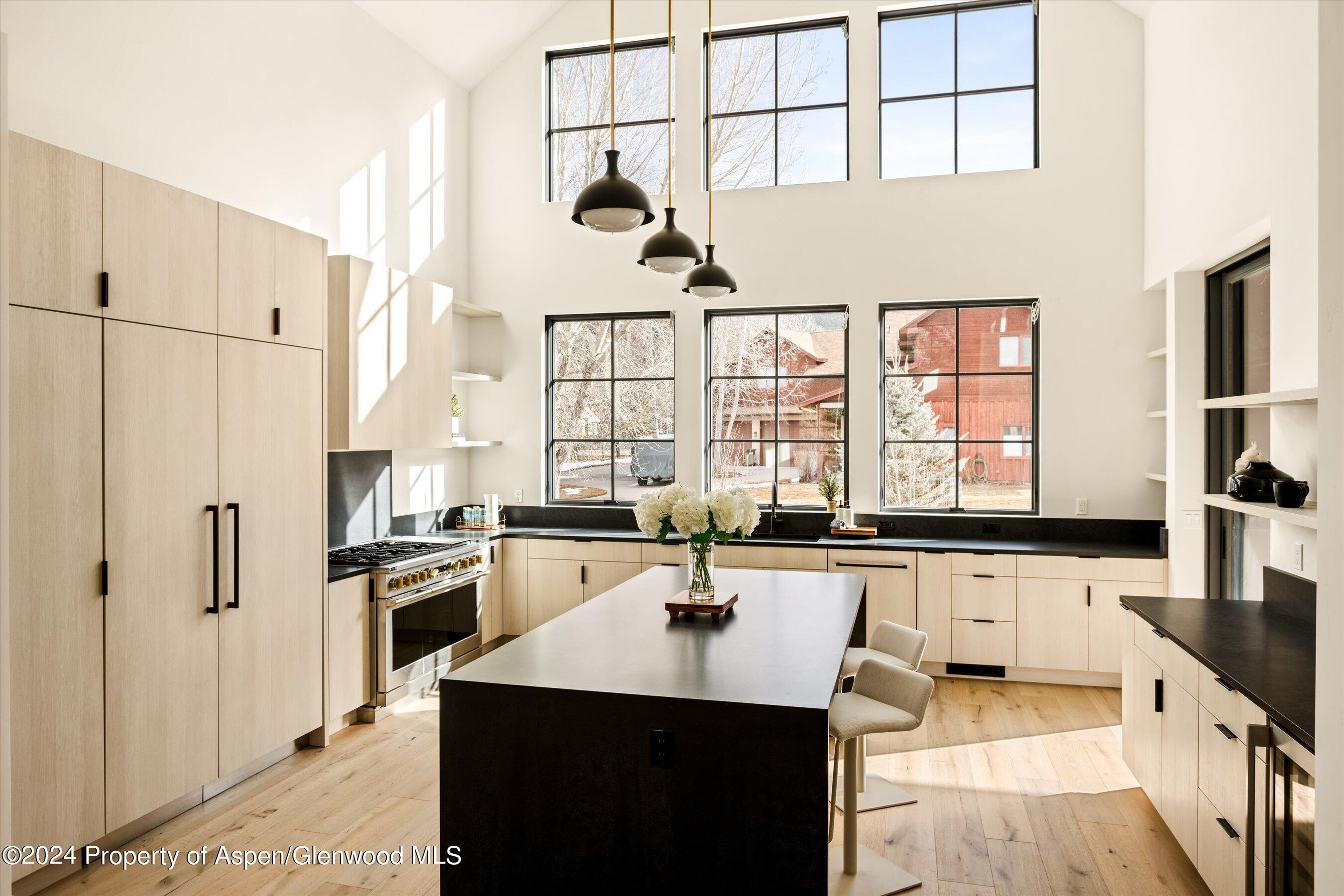 505 Diamond A Ranch Road Carbondale, CO 81623 - Photo 5 of 33 a kitchen with stainless steel appliances a sink a stove a refrigerator and cabinets