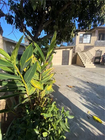 a plant that is sitting in front of a house