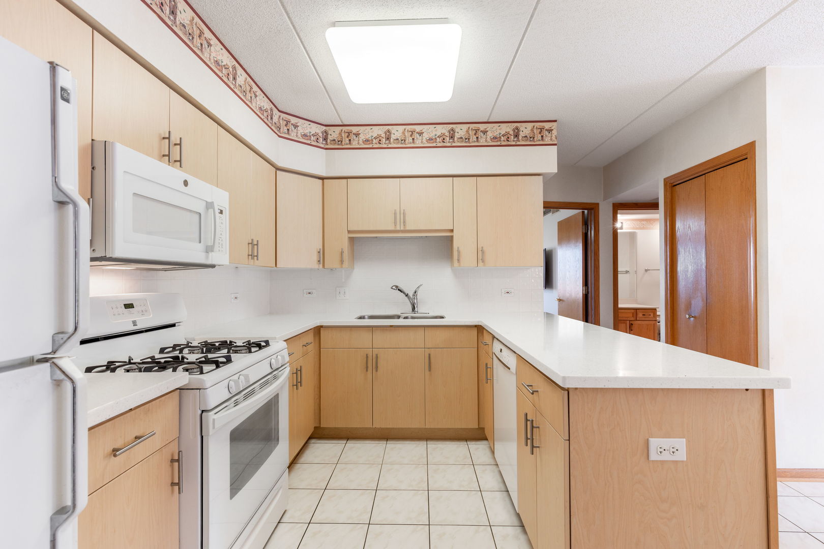 675 Pearson Street, Unit 710 Des Plaines, IL 60016 - Photo 7 of 19