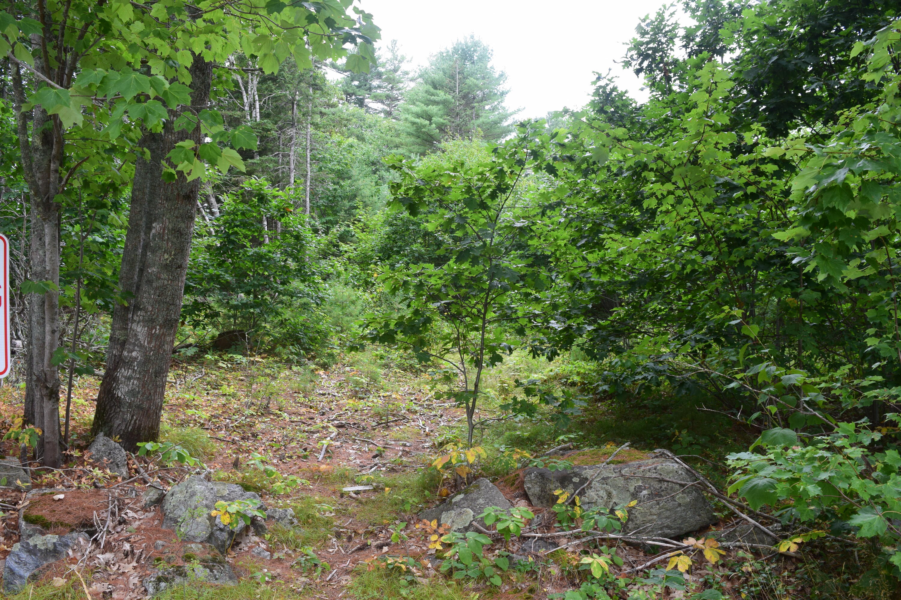 0 Union Street Ellsworth, ME 04605 - Photo 5 of 6 DSC_0407