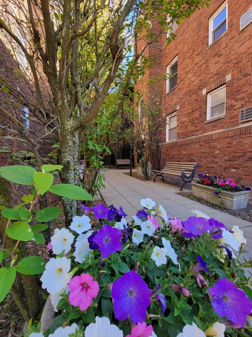 a view of yard with flowers and flowers