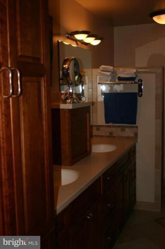 20649 Violet Road Rohrersville, MD 21779 - Photo 14 of 17 Master Bath
