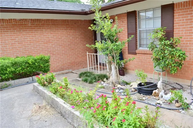 a view of a backyard with potted plants