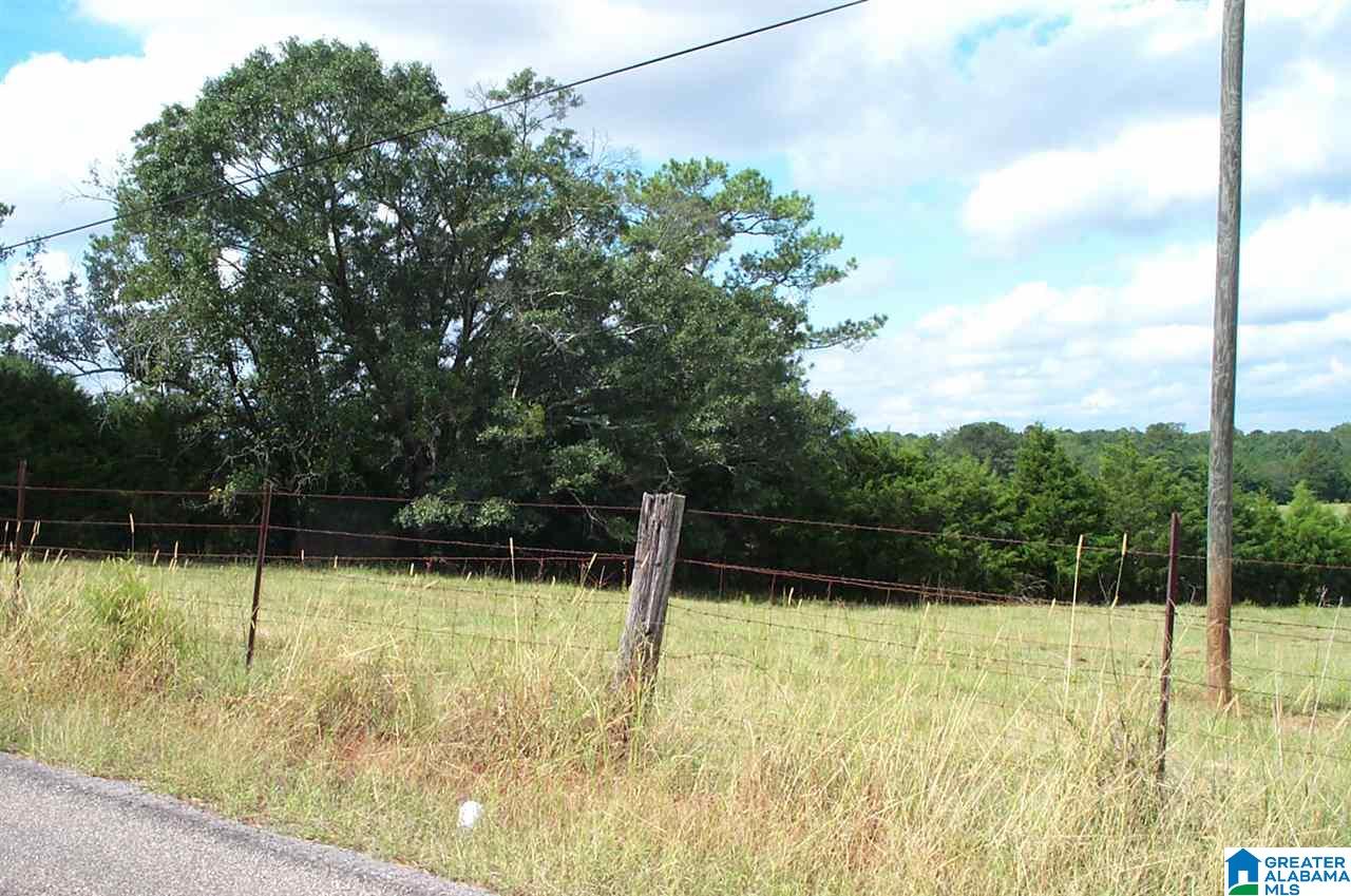 1910 Peaceful Valley Road, Unit 1 Eastaboga, AL 36260 - Photo 7 of 9
