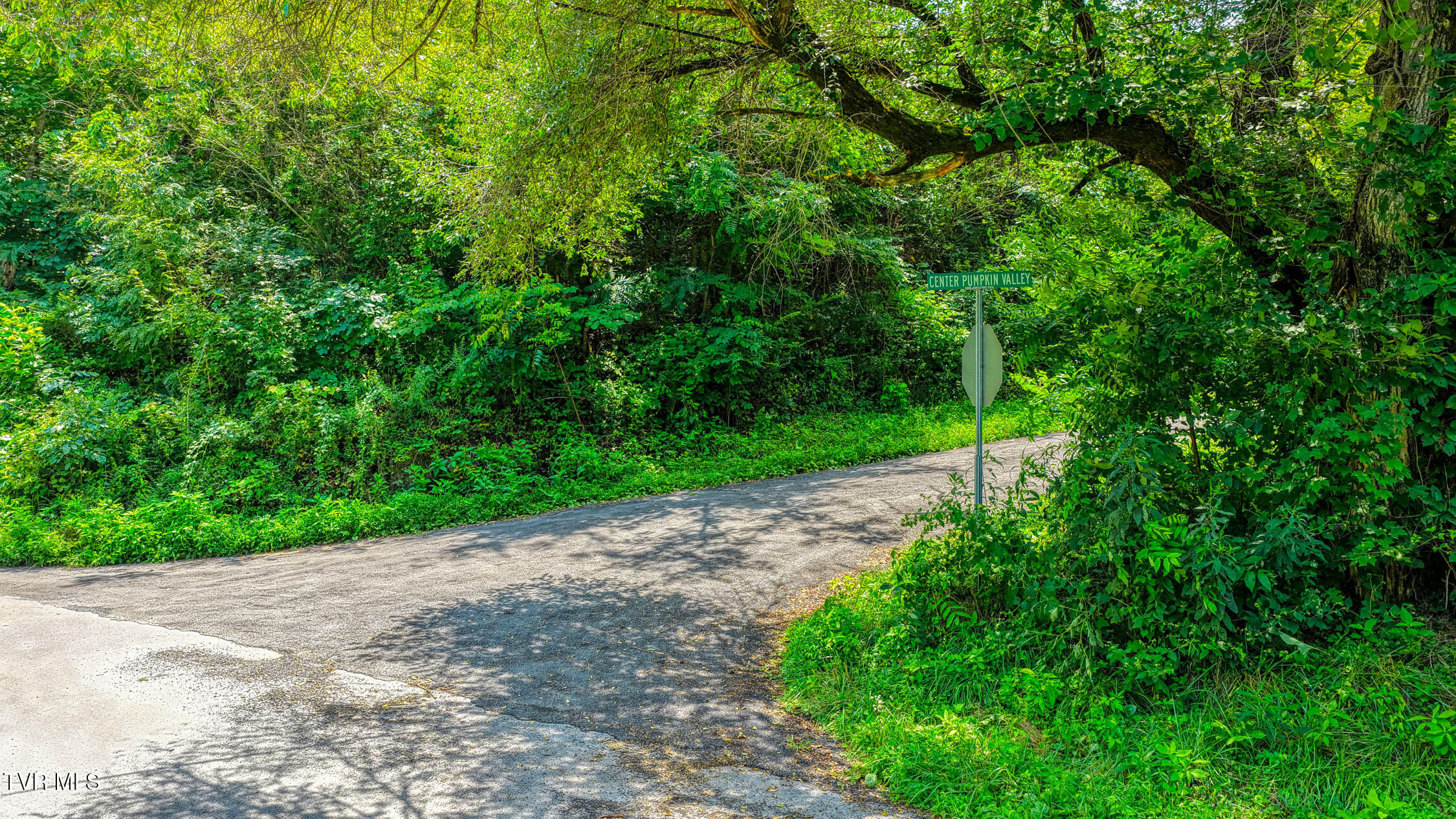 Tbd Sweet Creek Road, Unit TBD Eidson, TN 37731 - Photo 2 of 52 Sweet Creek. Eidson MLSa (1 of 51)