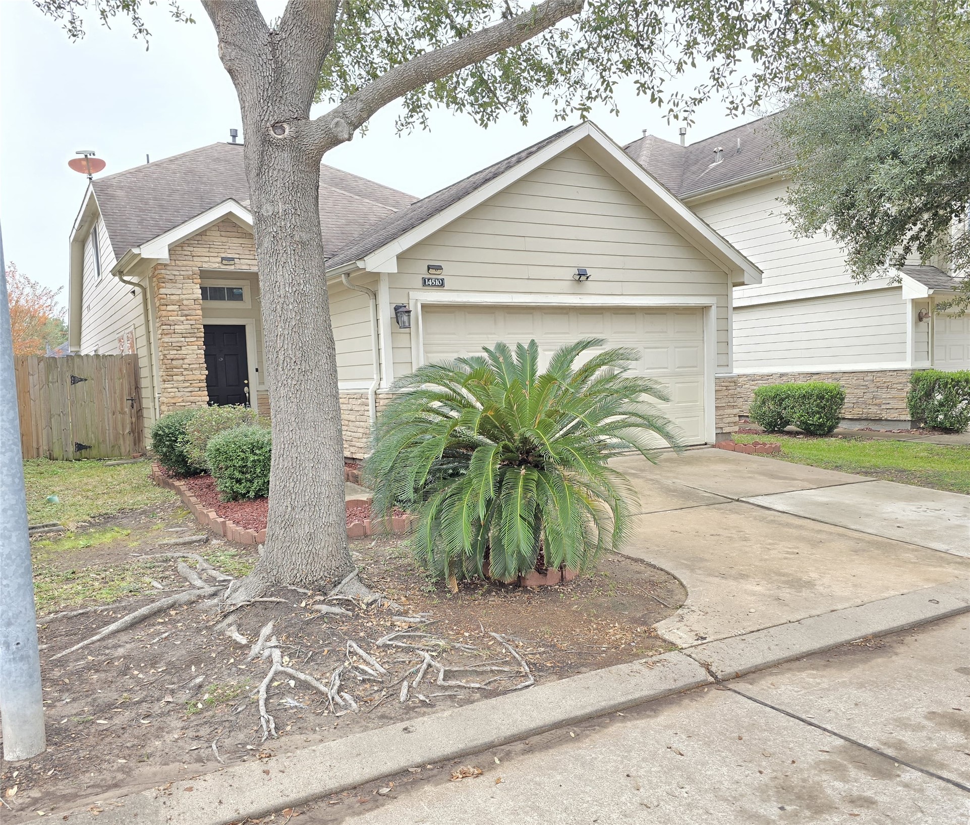 14510 Windmill Meadows Court Houston, TX 77082 - Photo 3 of 39 a view of a white house next to a yard and palm trees