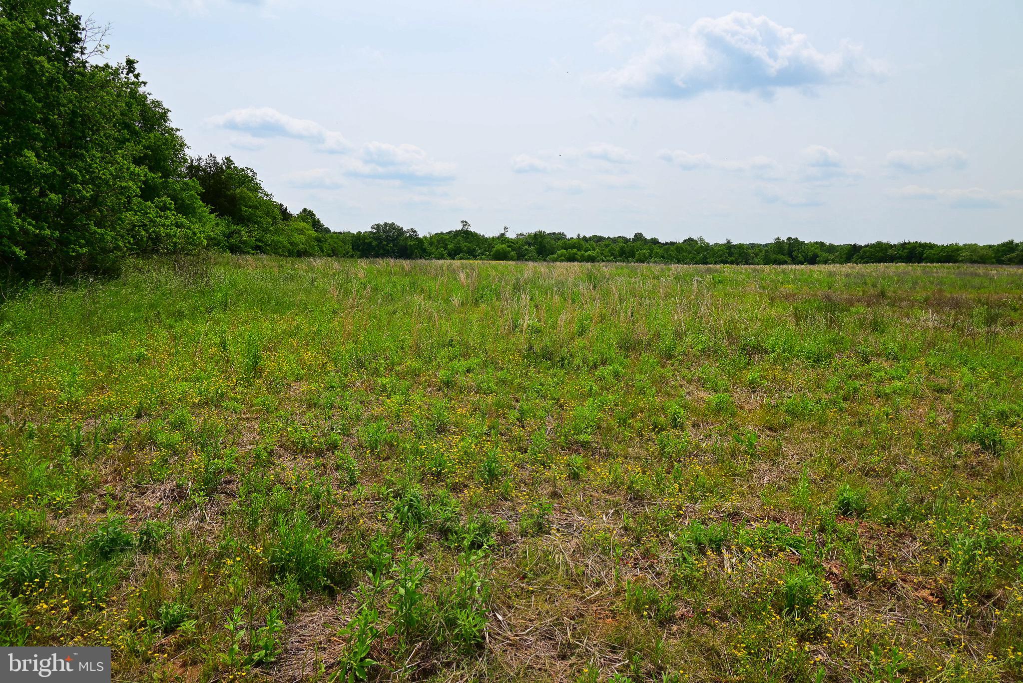 Catlett Road Midland, VA 22728 - Photo 11 of 11 Gallery Image 11
