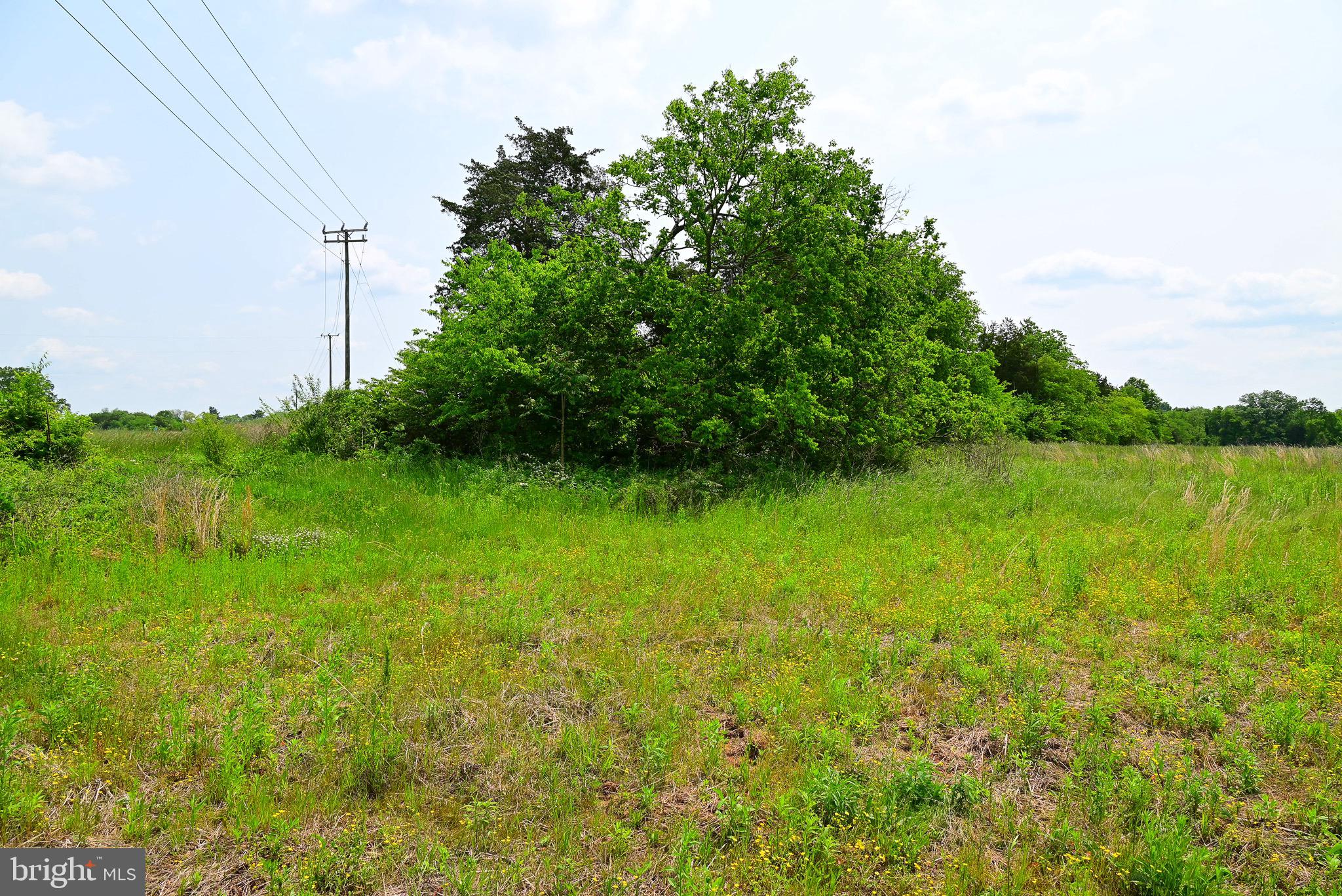 Catlett Road Midland, VA 22728 - Photo 10 of 11 Gallery Image 10
